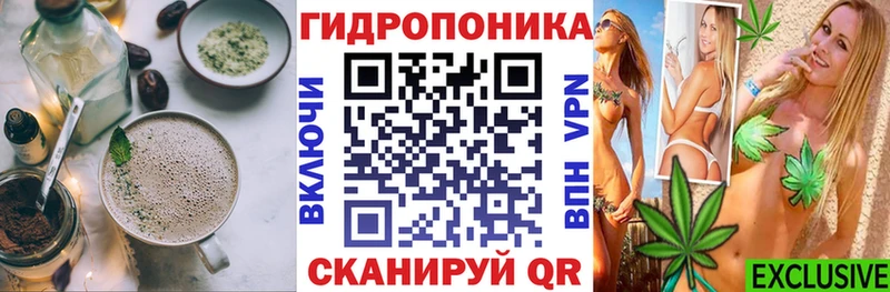 Cannafood конопля  omg как зайти  Светлоград  наркошоп 