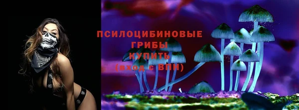 гидропоника Лабытнанги