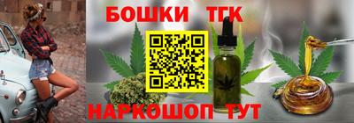 индика Вышний Волочёк