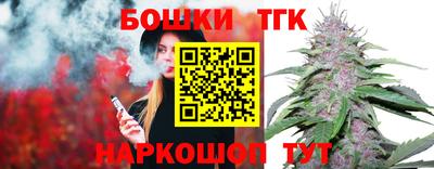 индика Вышний Волочёк