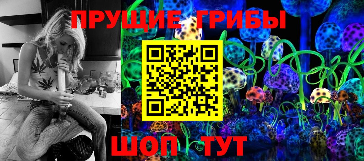 Светлоград  хочу   Вход с VPN  Псилоцибиновые грибы MAGIC MUSHROOMS 