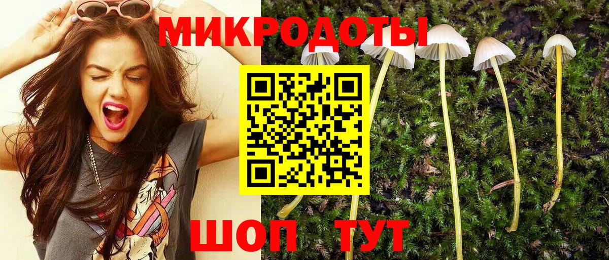 Псилоцибиновые грибы GOLDEN TEACHER Светлоград