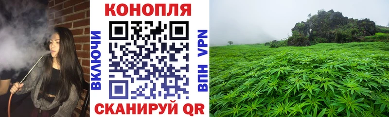 Бошки Шишки сатива  OMG сайт  Светлоград  как найти закладки 